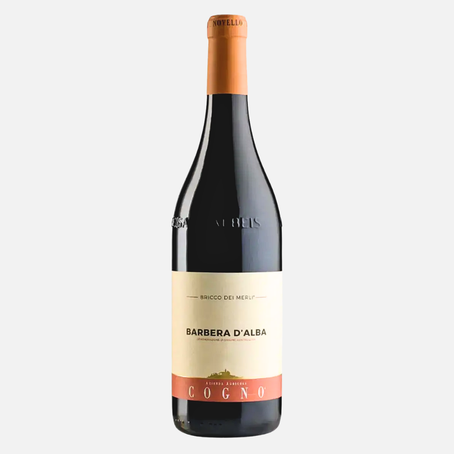 Rượu Vang Đỏ Elvio Cogno Bricco Dei Merli Barbera D’alba DOC