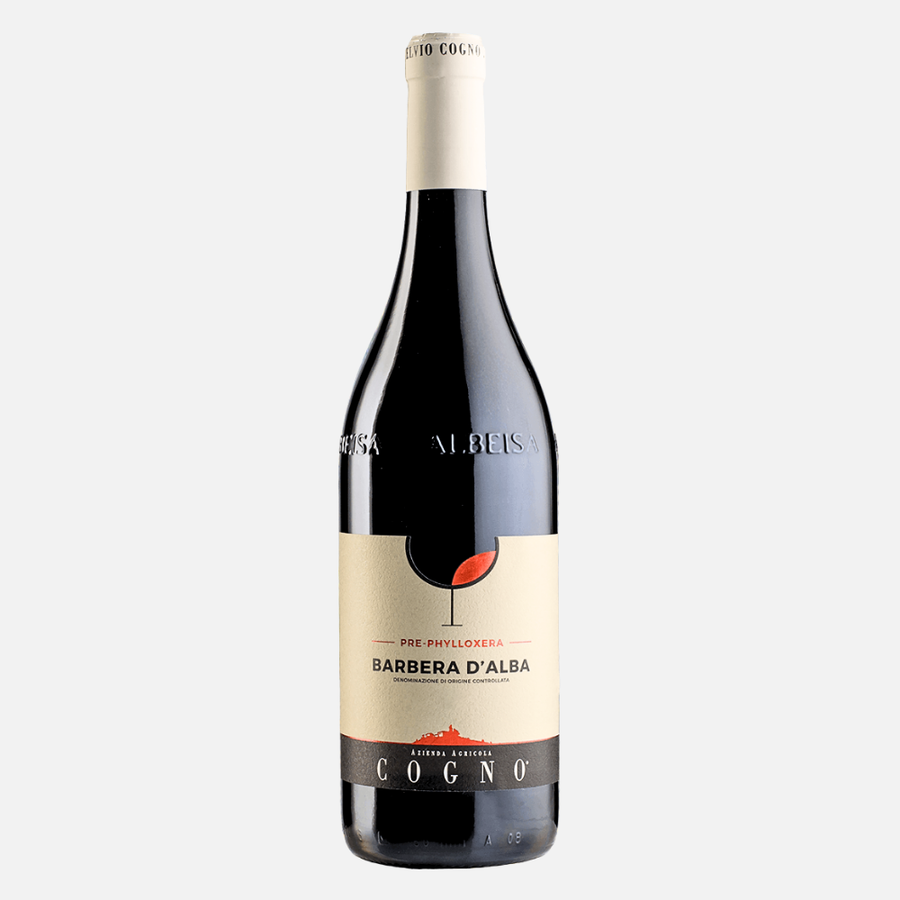 Rượu Vang Đỏ Elvio Cogno Pre- Phylloxera Barbera D’alba DOC